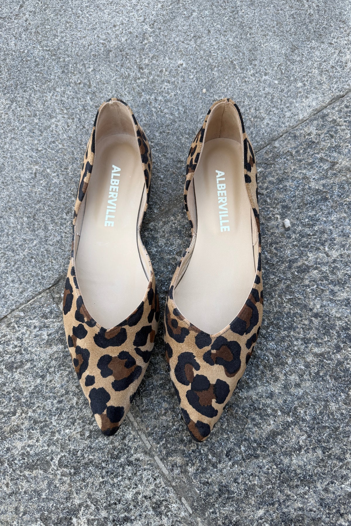 Tabitha Leo Suede Ballerina Shoes